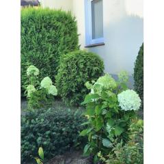 at the gates of Hamburg