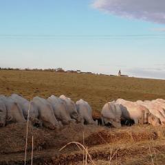 Holiday Home in Crux-la-Ville near Lake
