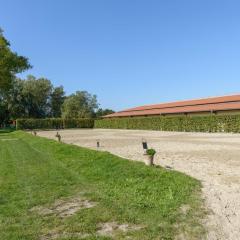 Ferienhaus mit Terrasse