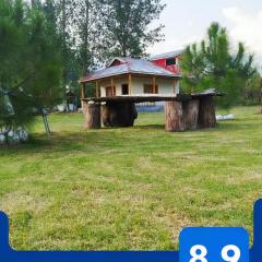 Darya Beli at Country Club Balakot