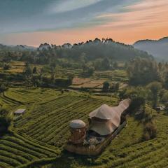 manta family sidemen