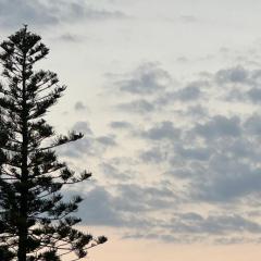 OceanView with private penthouse