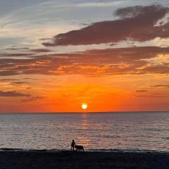 Buddy's Beach House Sipalay