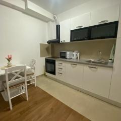 Apartment Jelena near Airport