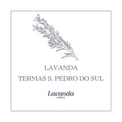 Lavanda Termas de São Pedro do Sul