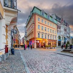 Old Town Doma View 1BR Stays