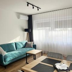 Poznań Wilda -Apartament Fabryczna