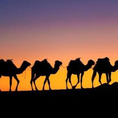 Merzouga Dunes Glamping