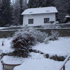 The House Next to the Forest - LAKMAT