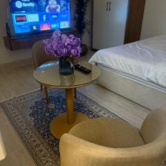 استديو مريح وهاديء فندقي