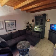 Ferienhaus Rotbuche - Mitten in Zingst, ruhig gelegen