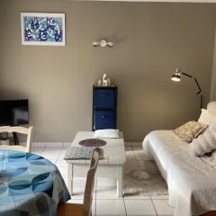 Cozy apartment with views of the mountains