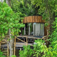 Dacnis tayrona glamping