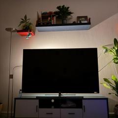 Friendly apartment with friendly pet