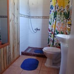 Cabaña punta de Lobos