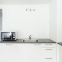 Spacious 1-BR w. private terrace - 81