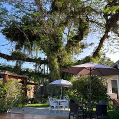 Casa da Árvore Bertioga