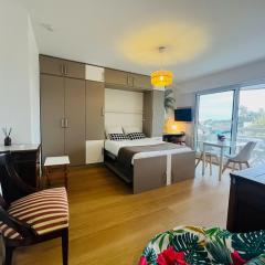 Biarritz proche centre ville - Studio avec balcon