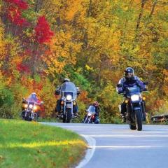 Biker-Friendly Cabin, Pets Welcome, Near River