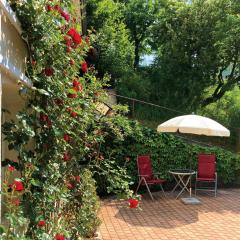 Haus Haselmaus - Zaunkönig