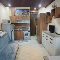 Уютная студия с мебелью