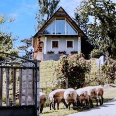 Ferienhaus am HerbstHof