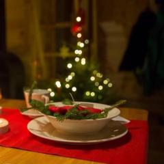 Domki KOLONIA LEŚNA z sauną i gorącą balią