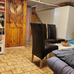 Appart en sous-sol avec jardin