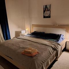 Modern flat in city center