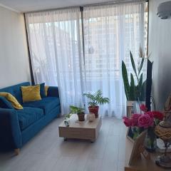 Haumaru Ventanas de Santiago