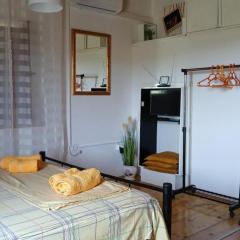 Studio Apartment with Terrace