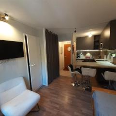 Studio cabine 4 personnes proche télécabine, animaux admis - FR-1-561-149