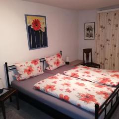 Weingut Steffen Erben