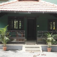 Elephant Shadow Wayanad