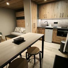 Appartement vue imprenable montagne