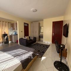 Aura Homes Buziga Bunga Studio 2