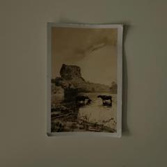 betterplaces Homes - Frontenhausen