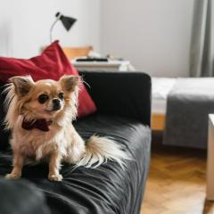 Candy Colored House - Old Town