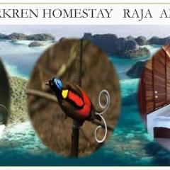 "Saporkren Homestay Raja Ampat"