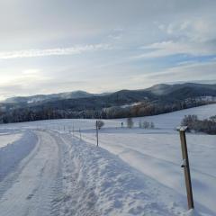 "RYVILLA" Dom na Wilkówce