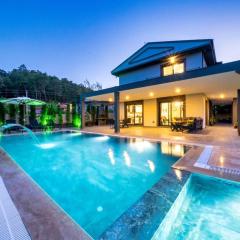 KATRELİA-Villa with Children's Pool for 6 Persons in Inlice