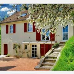 Haus Haselmaus - Zaunkönig