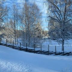 Renovated Cabin With Views In Trysil