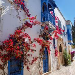 La maison kmar sidibousaid
