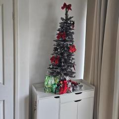 Shalom, in Saundersfoot, near the sea