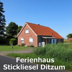 Ferienhaus STICKLIESEL DITZ125 am DOLLART Emsmündung Nähe Emden Fähre