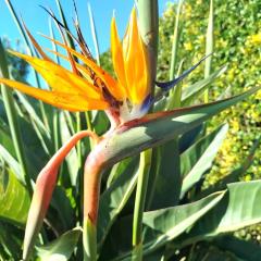 Chambres d'Hôtes La Casa Losa