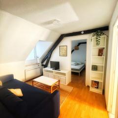 cozy and bright 2 room apartment heart of Pau everything on foot