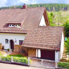 Ferienhaus Feldberg im Schwarzwald