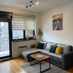 Zlatni Bor Apartment